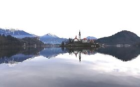 Apartmaji Alenka